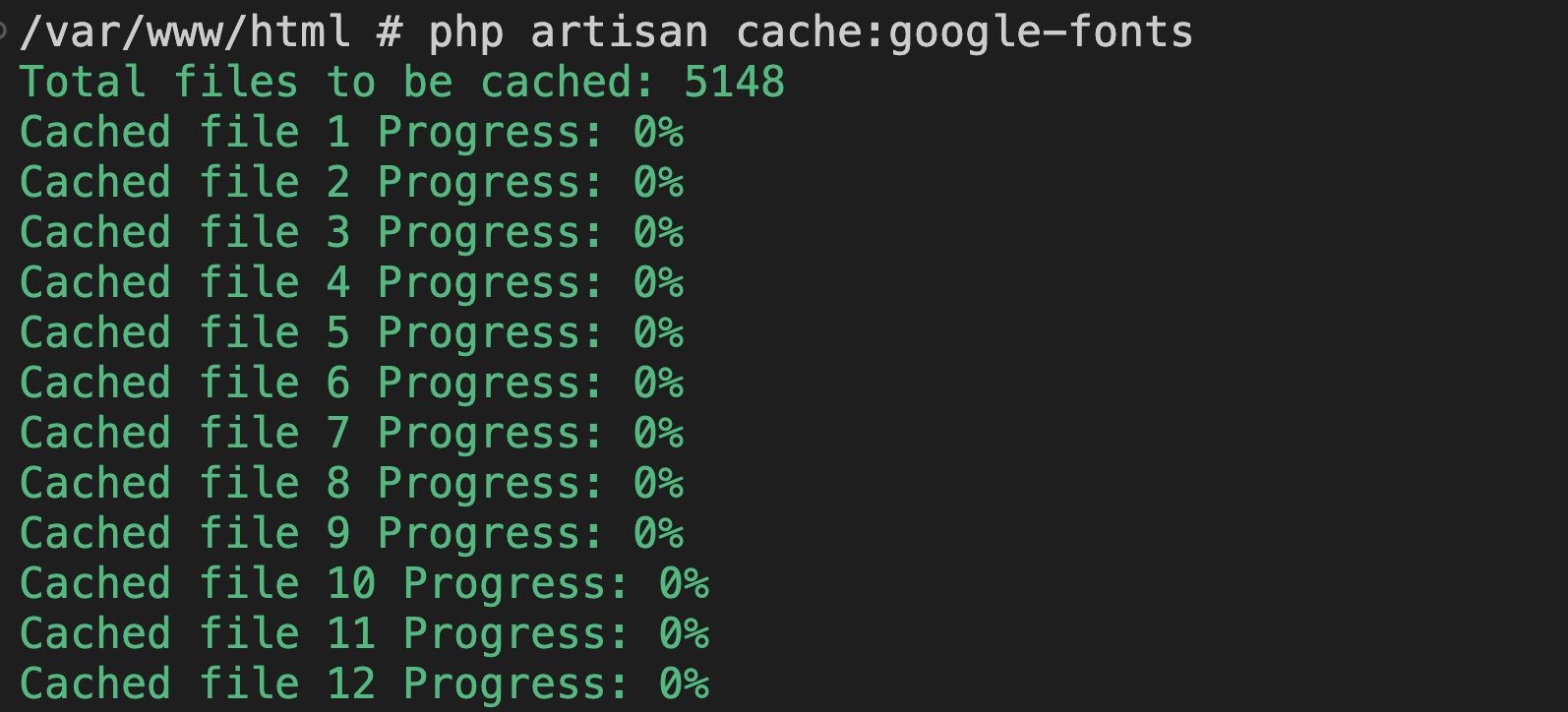 Cache google fonts example